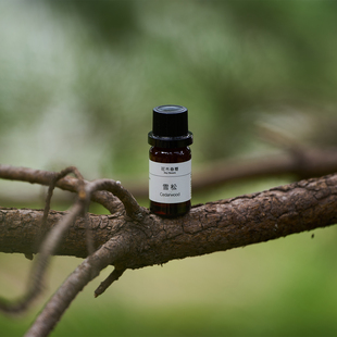 雪松精油Cedarwood 10ml
