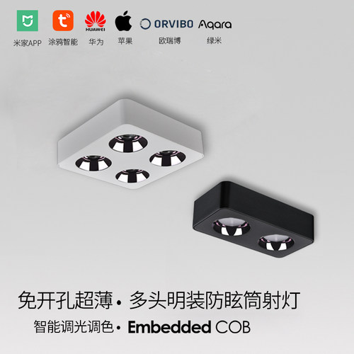 Homekit绿米智能明装灯