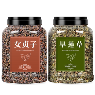 女贞子墨旱莲菟丝子正品中药材二至丸原料女真子和旱莲草兔丝子茶