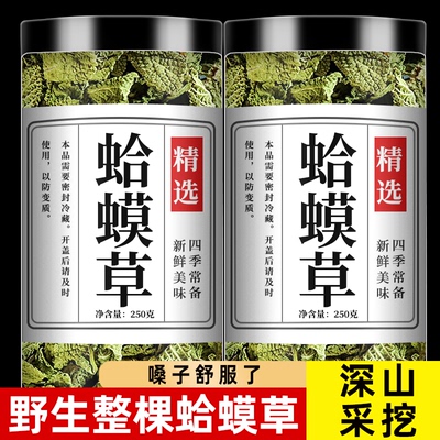 蛤蟆草中药材新鲜泡水