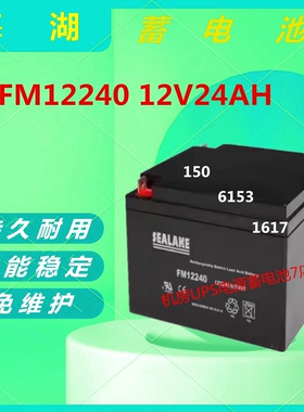 海湖蓄电池FM12240 12V24AH直流屏UPS电源应急电源消防主机通信
