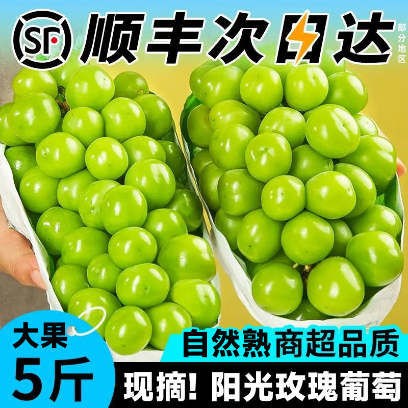 阳光玫瑰葡萄5斤晴王葡萄新鲜水果当季整箱顺丰礼盒甜香印青提子