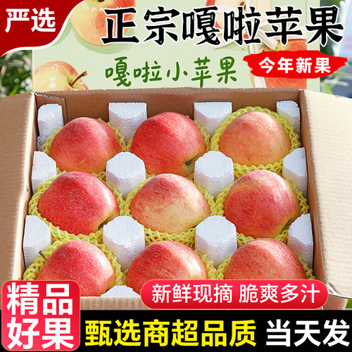 正宗嘎啦苹果新鲜水果当季整箱包邮现摘红富士脆甜冰糖丑苹果