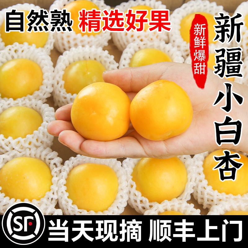 正宗新疆小白杏子新鲜水果4斤当季整箱库车轮台爆甜杏子顺丰包邮