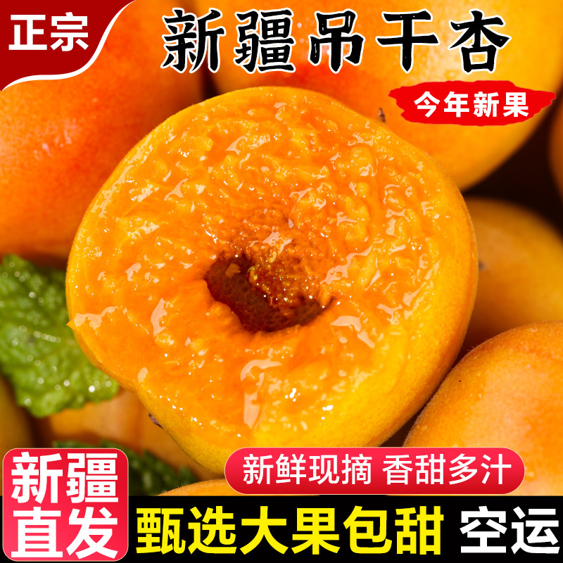正宗新疆小红杏子新鲜水果新疆直发阿克苏吊干杏当季整箱胜小白杏