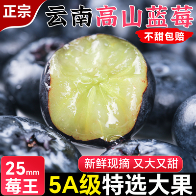 云南蓝莓鲜果新鲜水果