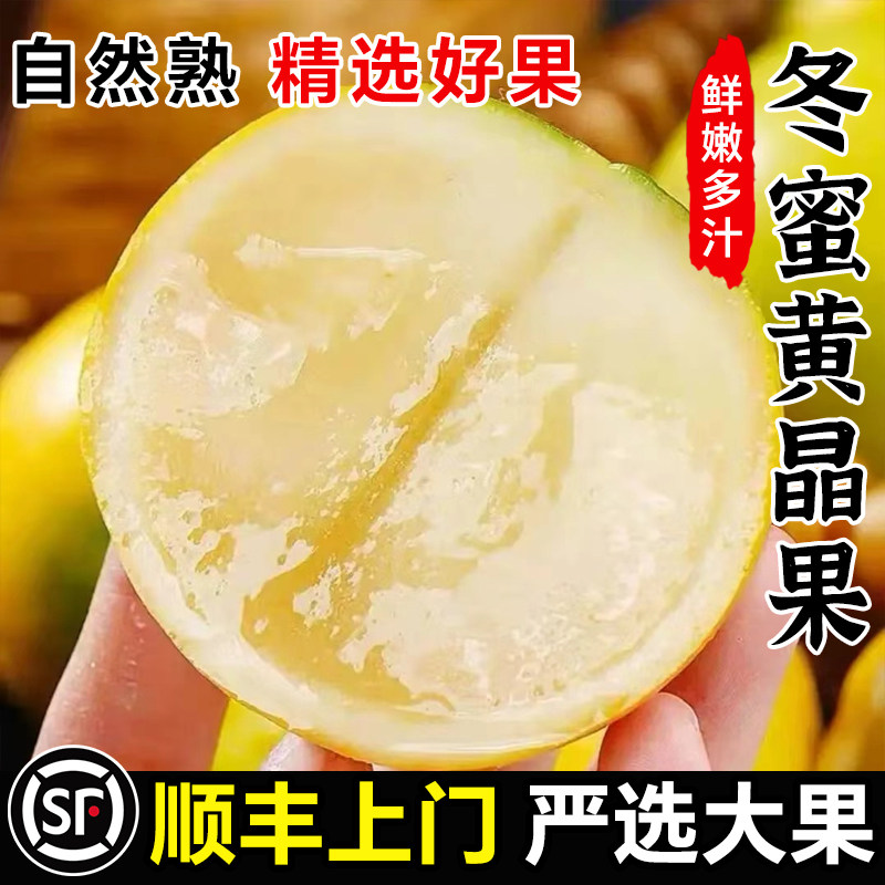 正宗黄晶果新鲜水果5斤冬蜜黄金当季现摘罕见特产黄皮顺丰包邮