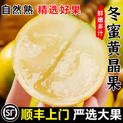 正宗黄晶果新鲜水果5斤冬蜜黄金当季现摘罕见特产黄皮顺丰包邮
