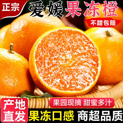 正宗四川爱媛38号果冻橙新鲜水果手剥橙子10斤当季整箱冰糖甜橙
