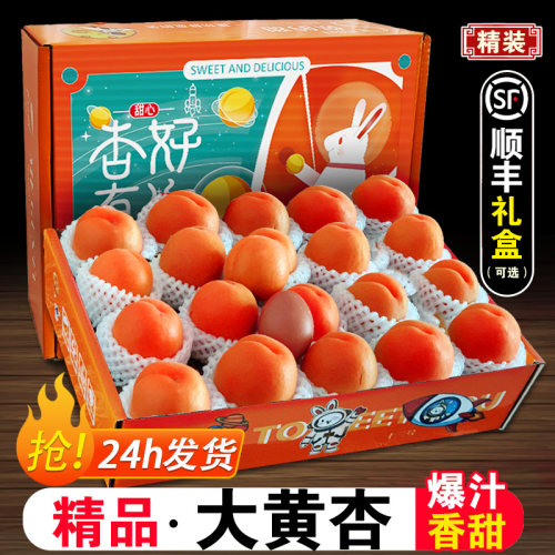 大黄杏新鲜水果5斤杏子顺丰礼盒