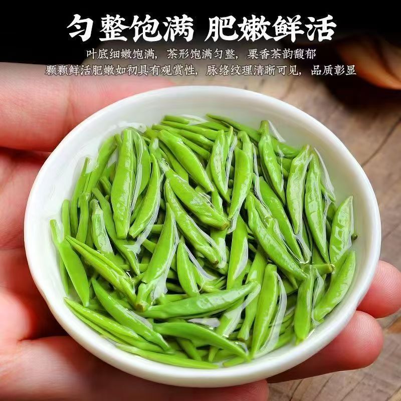 蒙顶山茶新款独芽绿茶250g雀舌
