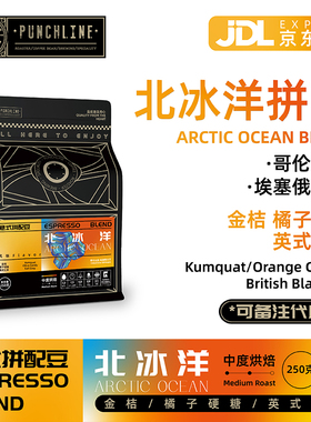 PUNCHLINE北冰洋BLEND精品意式拼配豆咖啡豆中度烘焙250g橘子汽水