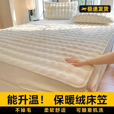 牛奶绒床笠加厚2025新款四季通用