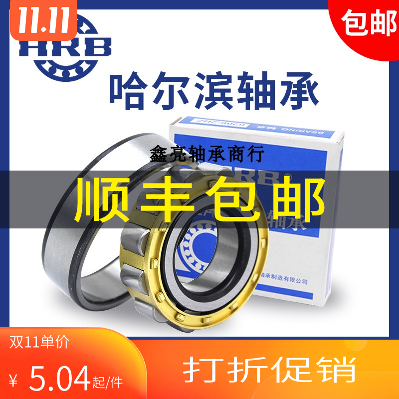 HRB哈尔滨减速机偏心轴承RN205 206 307 309 312 219 222E 228M