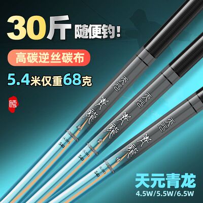 名伦旗舰正品天元青龙钓鱼竿手竿进口碳素超轻超硬19调大物竿28调