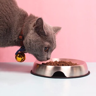 OHMO不锈钢宠物猫碗狗碗浅口护须大口径防黑下巴防拱食宠物用品