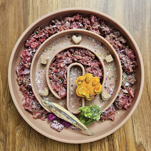 OHMO永恒InfiLoop极简慢食丰荣碗宠物猫狗食品硅胶防噎吸盘防打翻