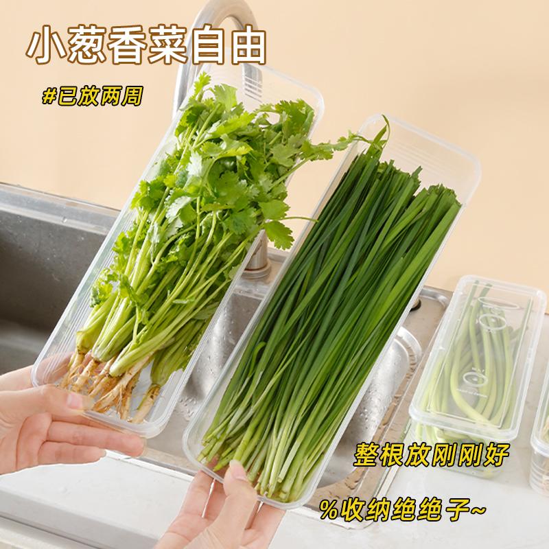 保鲜盒食品级大葱香菜芫荽整根