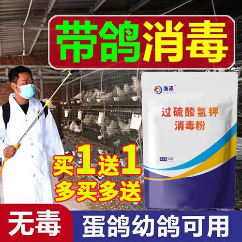 鸽子专用消毒液鸽用消毒液鸽窝消毒鸽子棚笼子消毒粉过硫酸氢钾剂