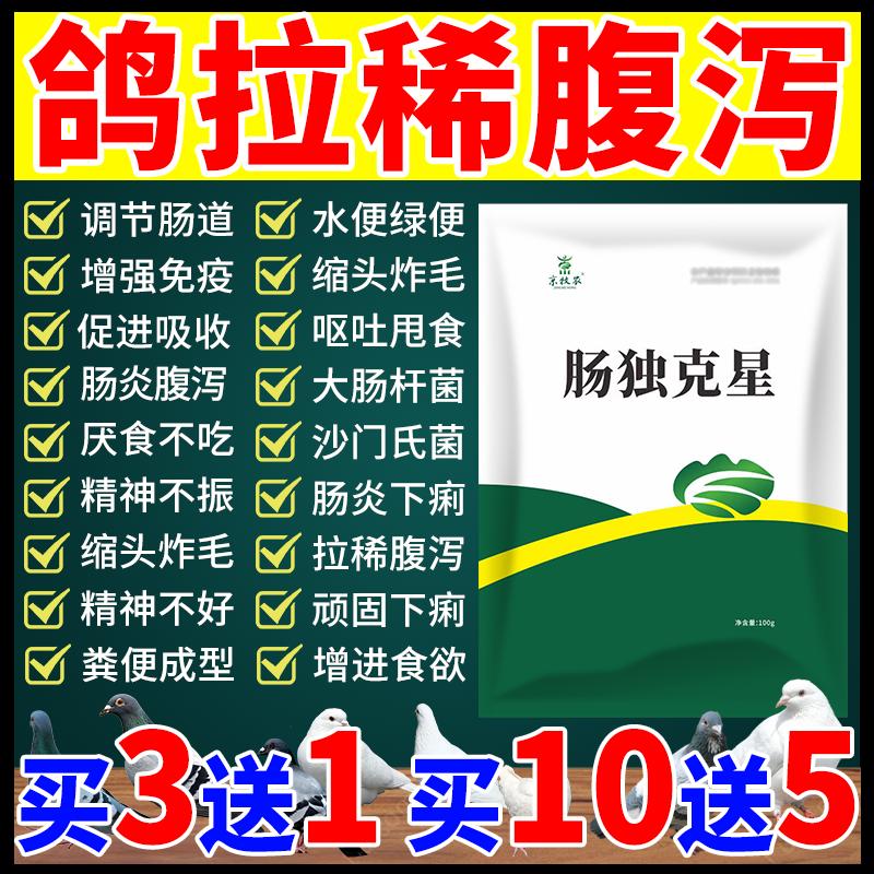 鸽子用拉稀水便绿便肠炎腹泻黄白绿便条状便过料肠炎调理肠道正品