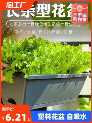 适用塑料花盆家用霍伦盆挂式长方形阳台种菜盆户外多肉盆自吸水懒