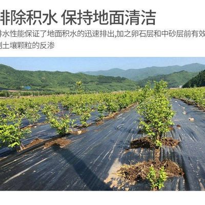 适用抗老化农用防草布黑色园艺除草布地布大棚果园透气保湿遮草布