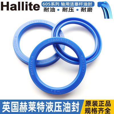 英国hallite赫莱特进口油封活塞杆605-105*120*10 16 46173 43795