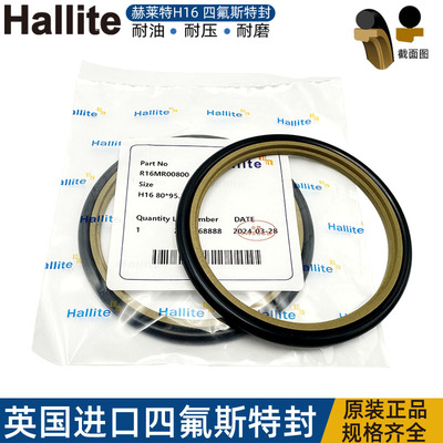 英国赫莱特H16四氟方形圈斯特封