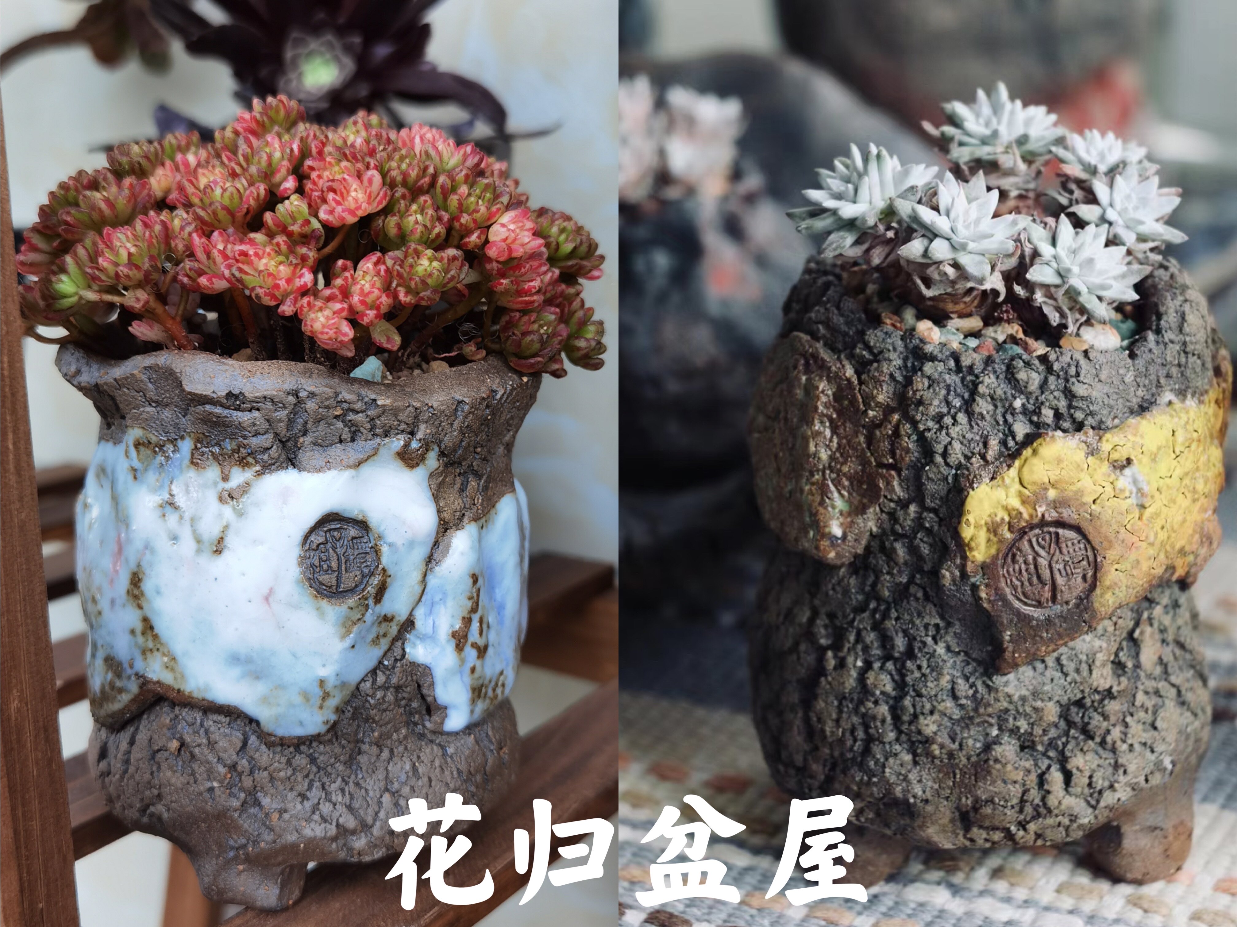 坛子姐 新品山石风贴片小高老桩贴片粗陶度夏白菊景德镇多肉花盆,鲜花速递/花卉仿真/绿植园艺,花盆,淘宝优惠券,粉丝福利购,淘宝优惠卷