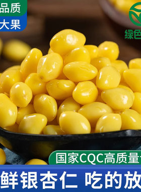 保鲜银杏仁徐州邳州特产白果仁即食熟的银杏果绿色无漂白鲜白果