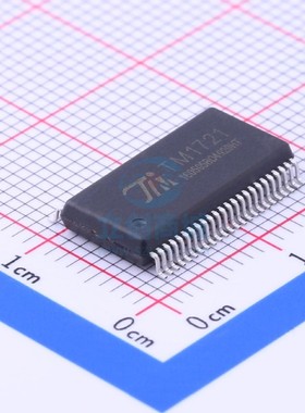 LCD驱动 TM1721 SSOP-48_300mil