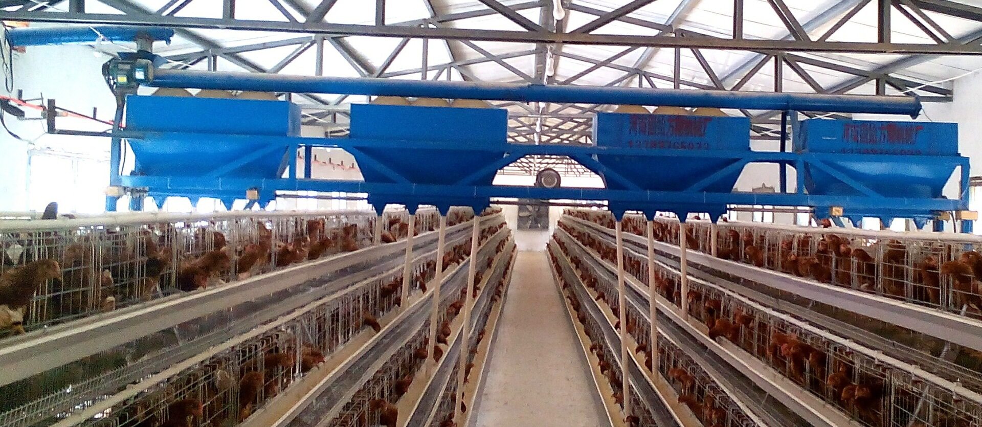 天车行车喂料机蛋鸡上料机养自动化设备全养鸡设备鸡舍上料机