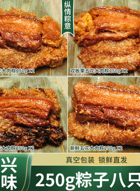 纵情粽意全家福套餐粽子250g*8只嘉兴肉粽蛋黄粽五花肉蛋黄咸粽子