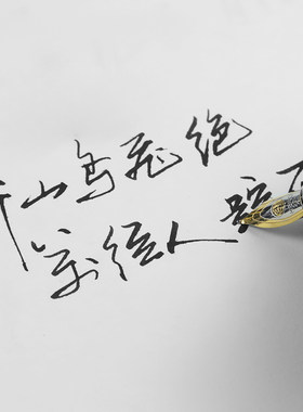 英雄非碳素墨水练字钢笔