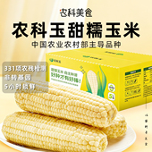 农科玉甜糯玉米真空装 低脂即食早餐代餐五常东北苞米白糯玉米8根