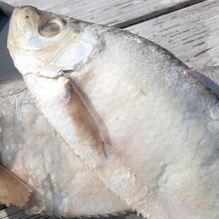 山东特产咸白鳞鱼500g 咸鱼干 咸霉鳓鱼 臭香力鱼海鲜干货包