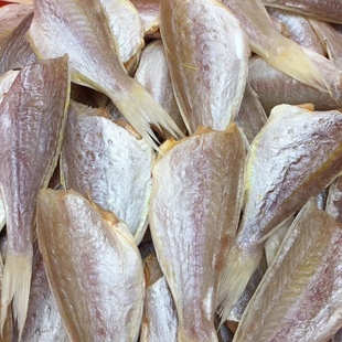 红杉鱼干500g自晒风干金线鱼去头去脏咸鱼干货干红三鱼干海鲜干货