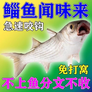 鲻鱼专用饵料乌头野钓黑坑乌头海鲈鱼梭鱼黑鲷专攻方块饵料诱食剂