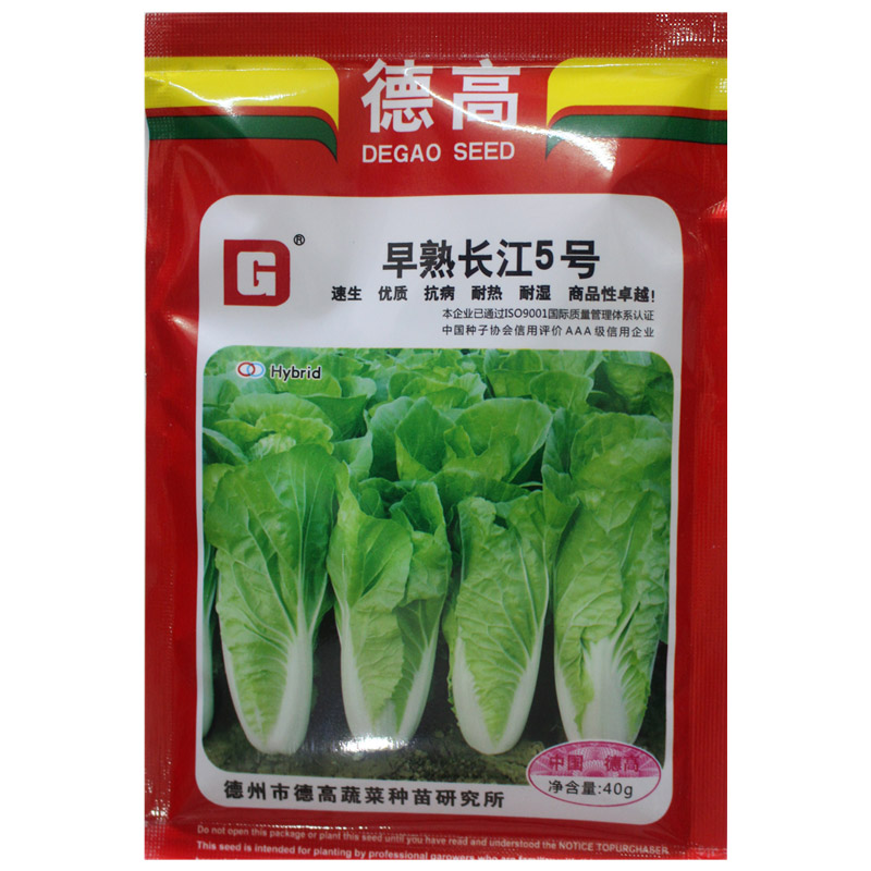 德高早熟长江5号快菜种子40克 五号白菜 抗病耐热