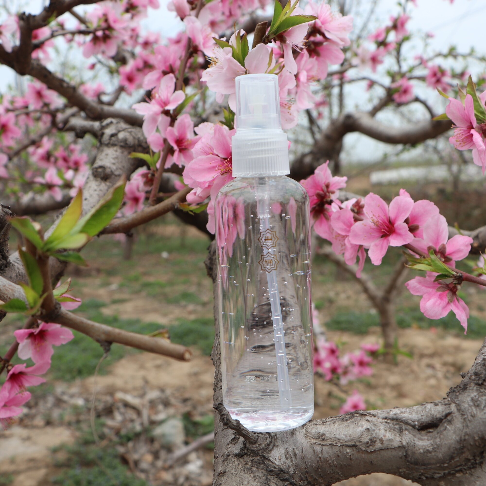 德国罗马洋甘菊饱和纯露保湿补水爽柔肤水敏感肌痘痘肌适用温和