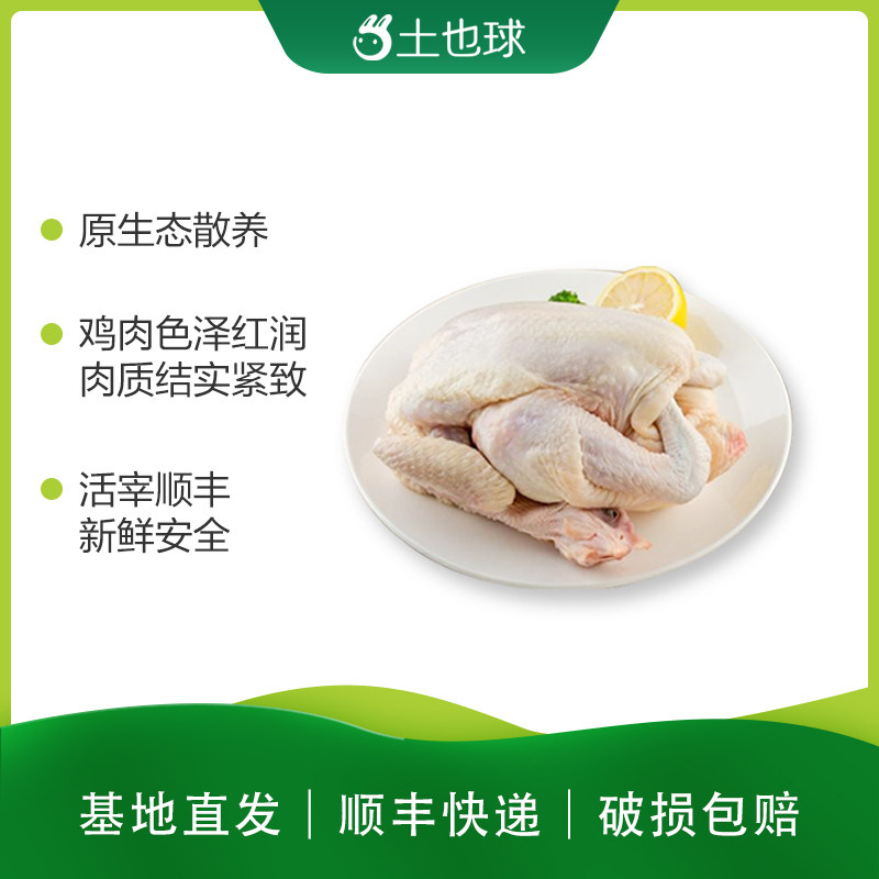 土也球高山放养皖南冷冻有机土鸡