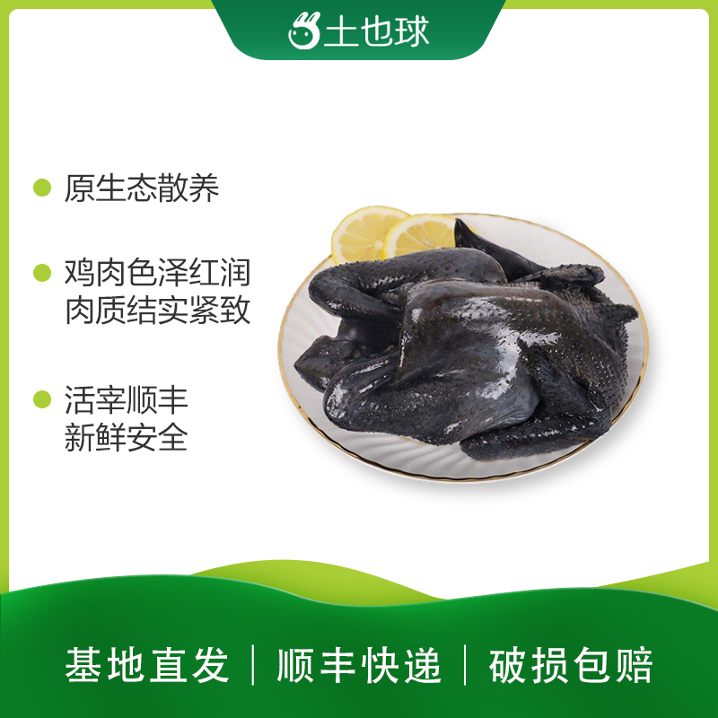 高山放养现杀速冻乌骨鸡无激素