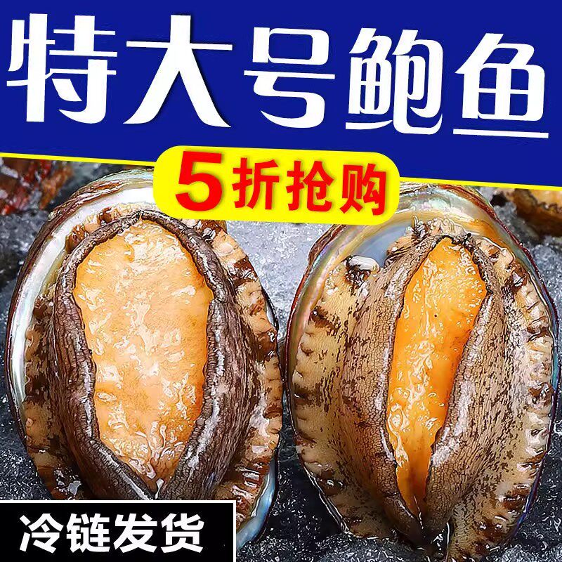 超大号【顺丰包邮】精选500g鲍鱼