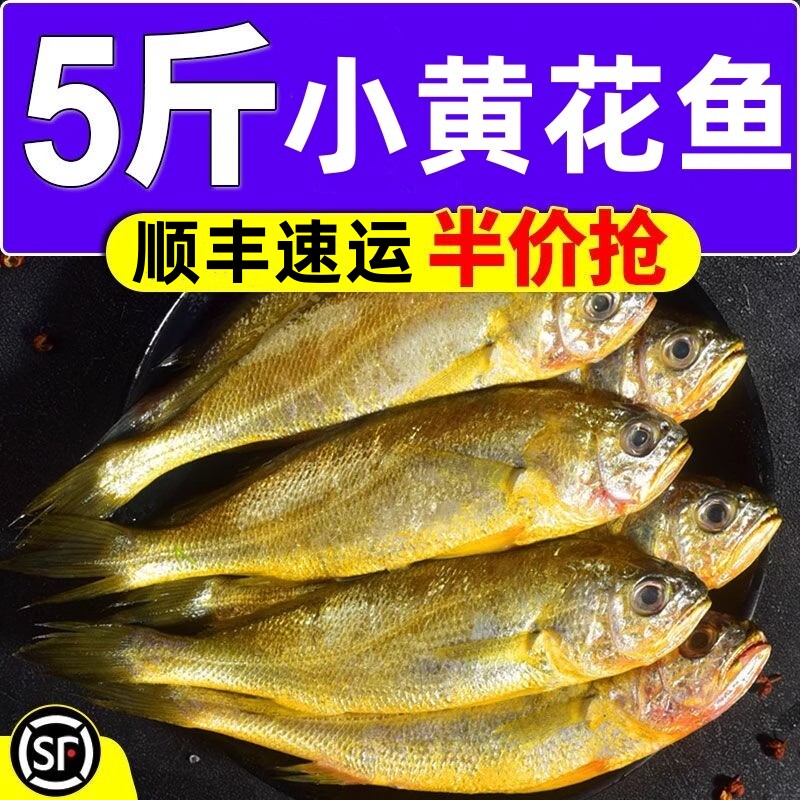 【顺丰】野生小黄花鱼新鲜海捕冷黄鱼