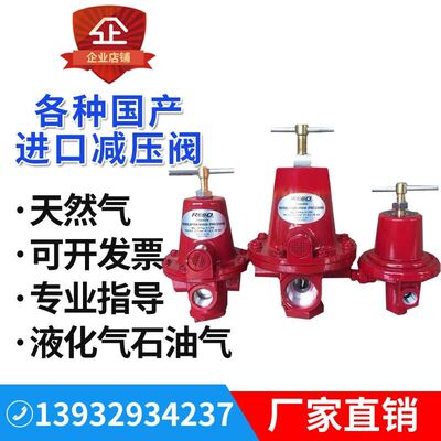 力高REGO1584VN597FB1588VN燃烧机锅炉气化炉天燃气减压阀调压阀