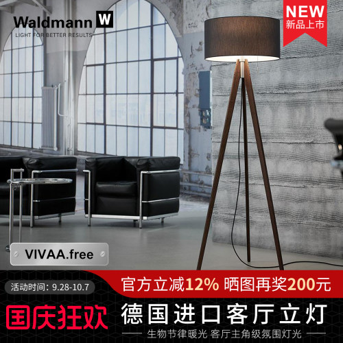 Waldmann德国进口客厅氛围立灯