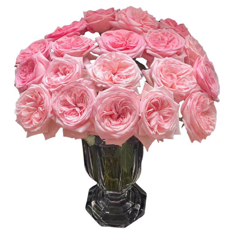 A级粉荔枝玫瑰鲜花斗南基地直发鲜切花水养插花情人节花束粉玫瑰