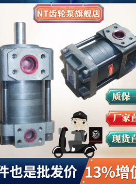 NT2-G10F G12F G16F NT3-G20F G25F G32F NT4-G40F G50F G63F油泵