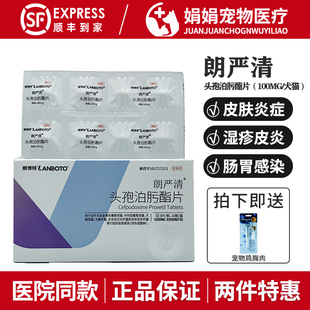 朗博特朗严清头孢泊肟脂片宠物狗狗皮肤病猫咪感冒肠胃炎消炎药