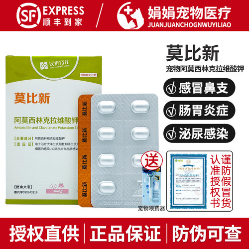 莫比新消炎药宠物阿莫西林克汉维